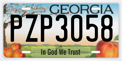 GA license plate PZP3058