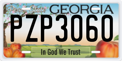 GA license plate PZP3060