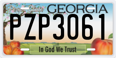 GA license plate PZP3061