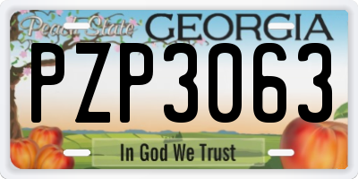 GA license plate PZP3063