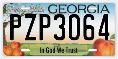 GA license plate PZP3064
