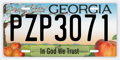 GA license plate PZP3071