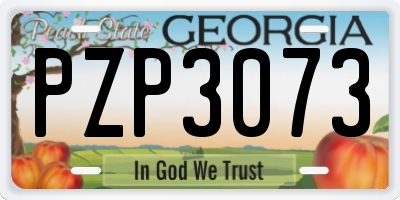 GA license plate PZP3073