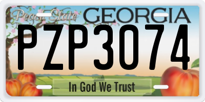 GA license plate PZP3074
