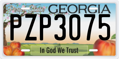 GA license plate PZP3075