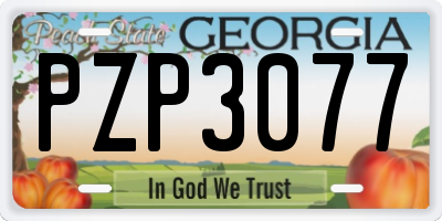 GA license plate PZP3077