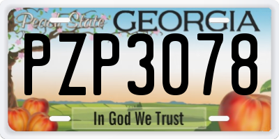 GA license plate PZP3078