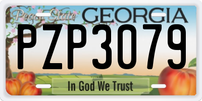 GA license plate PZP3079