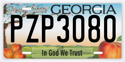 GA license plate PZP3080
