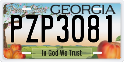 GA license plate PZP3081