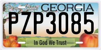 GA license plate PZP3085