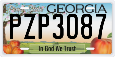 GA license plate PZP3087