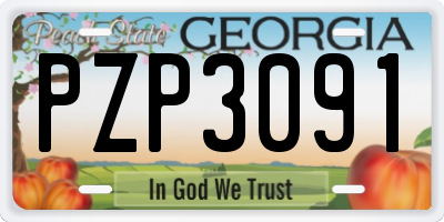 GA license plate PZP3091