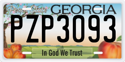 GA license plate PZP3093