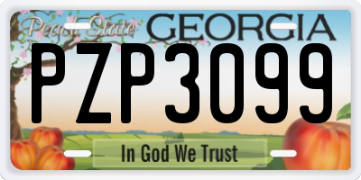 GA license plate PZP3099