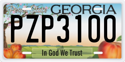 GA license plate PZP3100