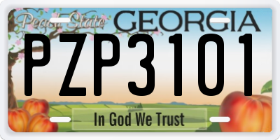 GA license plate PZP3101
