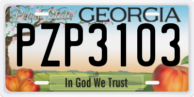 GA license plate PZP3103