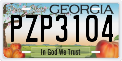 GA license plate PZP3104
