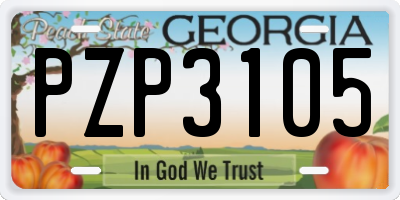 GA license plate PZP3105