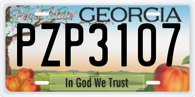 GA license plate PZP3107