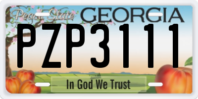 GA license plate PZP3111