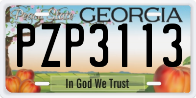 GA license plate PZP3113