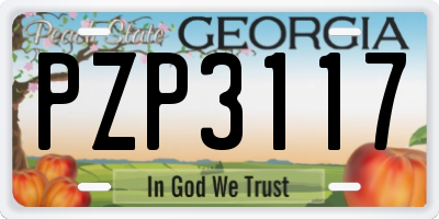 GA license plate PZP3117