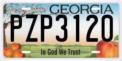 GA license plate PZP3120