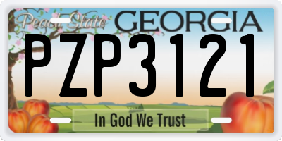 GA license plate PZP3121