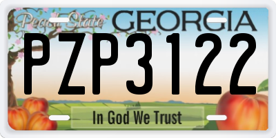 GA license plate PZP3122