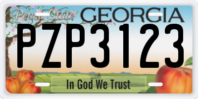 GA license plate PZP3123
