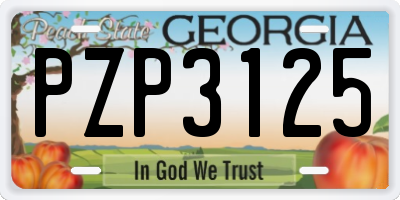 GA license plate PZP3125
