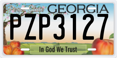 GA license plate PZP3127