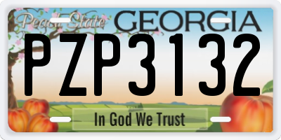 GA license plate PZP3132