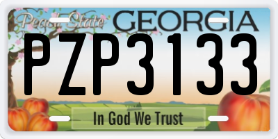 GA license plate PZP3133