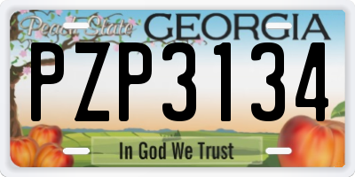 GA license plate PZP3134