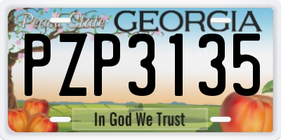 GA license plate PZP3135