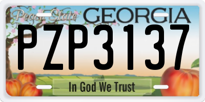 GA license plate PZP3137