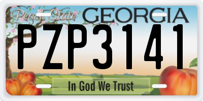 GA license plate PZP3141