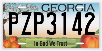 GA license plate PZP3142