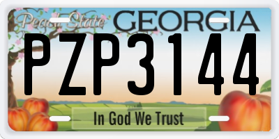 GA license plate PZP3144
