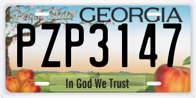 GA license plate PZP3147