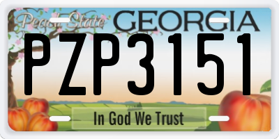GA license plate PZP3151