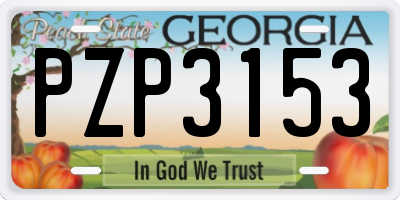 GA license plate PZP3153
