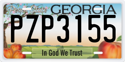 GA license plate PZP3155