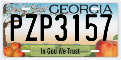 GA license plate PZP3157