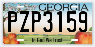 GA license plate PZP3159