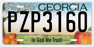 GA license plate PZP3160