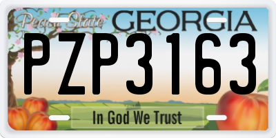 GA license plate PZP3163